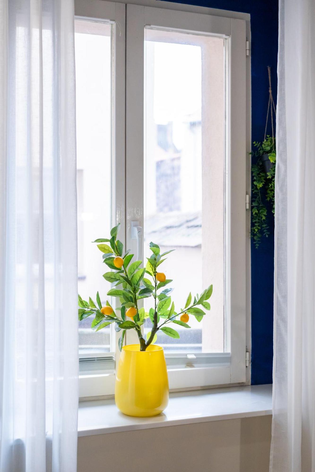 Apartment Przy Bulwarze By Rentoom Torun